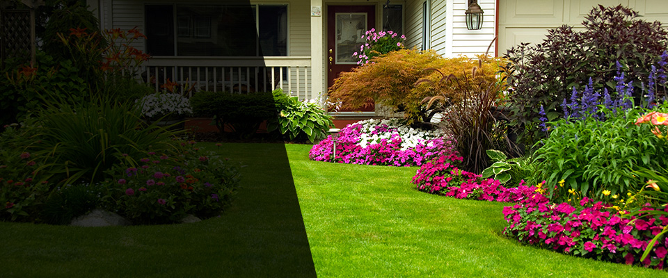 Bamberg Landscapers