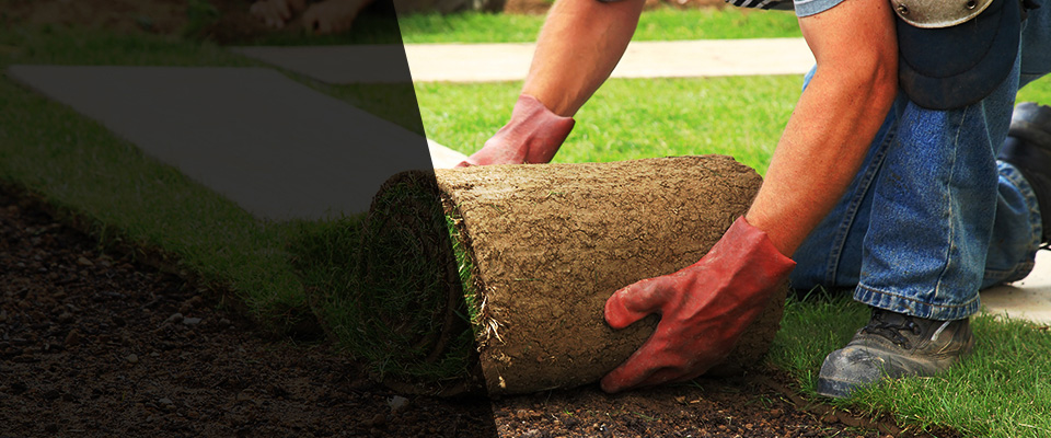 Bamberg Landscapers